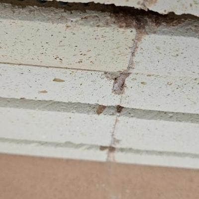 Sale Photo Thumbnail #9