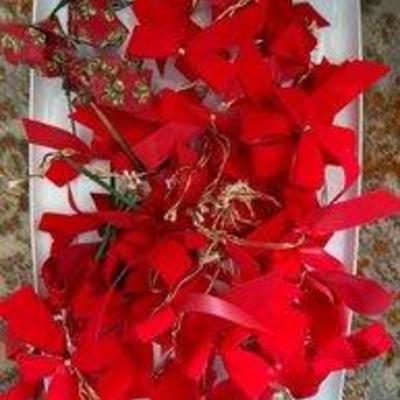 Sale Photo Thumbnail #268