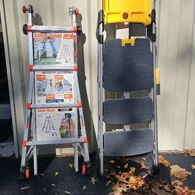 Little Giant Leveler & Cosco Ladder With Tray