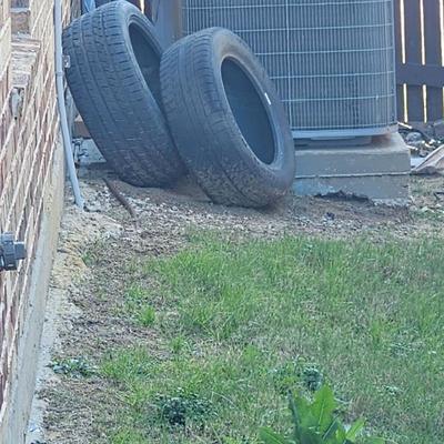 Sale Photo Thumbnail #9