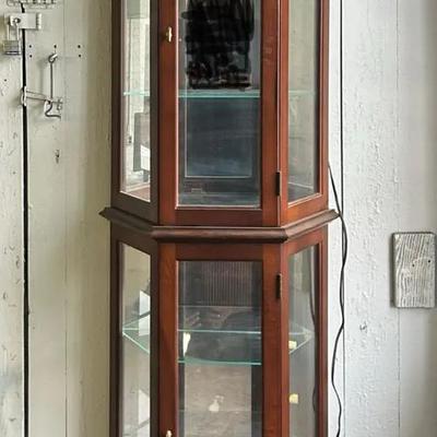 Wood And Glass Illuminated Curio Cabinet 
