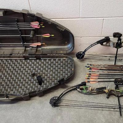 Two Alpine Archery Micro Compound Bows W/ One Hard Carrying Case And 18 Arrows
