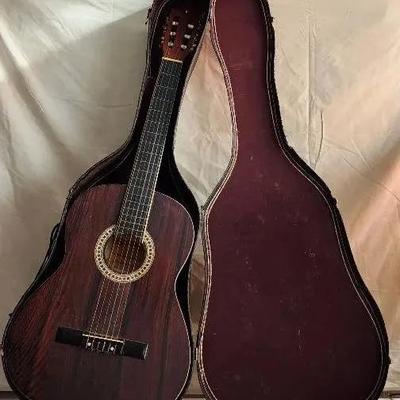Acoustic Guitar And Carrying Case
