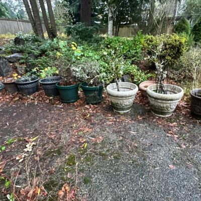 Outdoor pots and plants