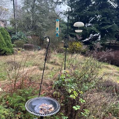 Bird bath & bird feeders
