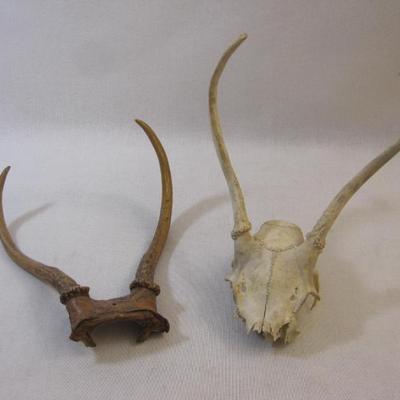 Sale Photo Thumbnail #180