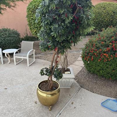 Sale Photo Thumbnail #103