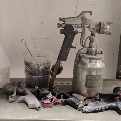 Paint Sprayer 