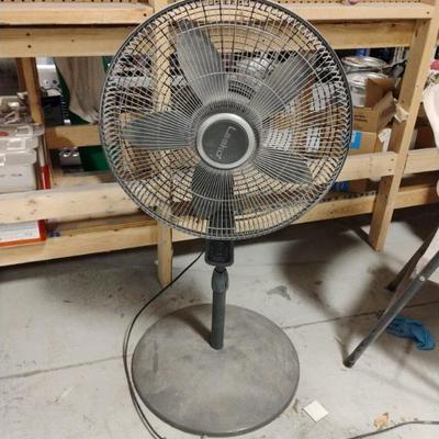 Fan 