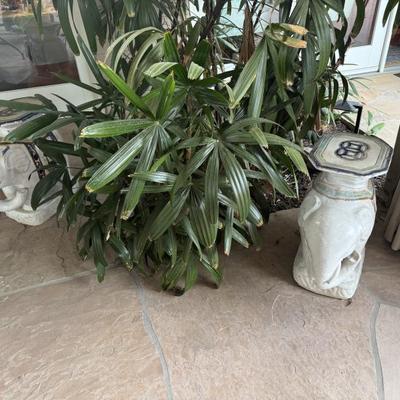 Sale Photo Thumbnail #19