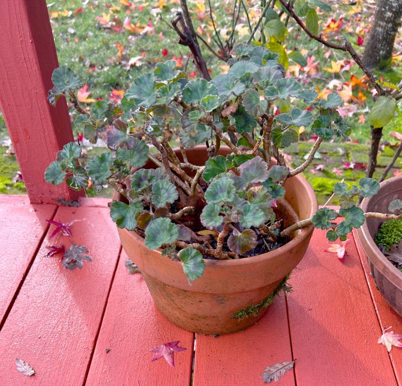 Sale Photo Thumbnail #36