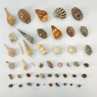 Sale Photo Thumbnail #65