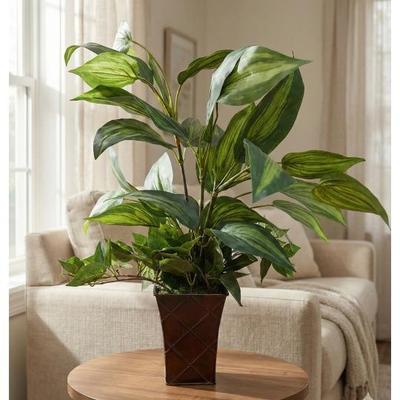 Sale Photo Thumbnail #705