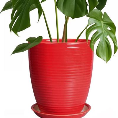 Sale Photo Thumbnail #209