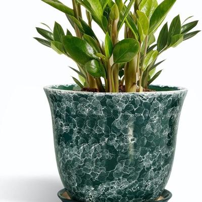 Sale Photo Thumbnail #334