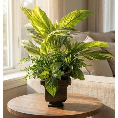 Sale Photo Thumbnail #338