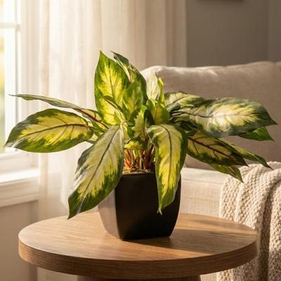 Sale Photo Thumbnail #320