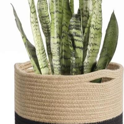 Sale Photo Thumbnail #230