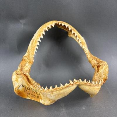 Sale Photo Thumbnail #251