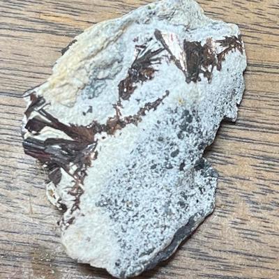 Sale Photo Thumbnail #4