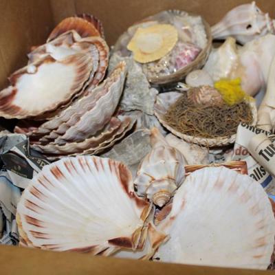 Sale Photo Thumbnail #155