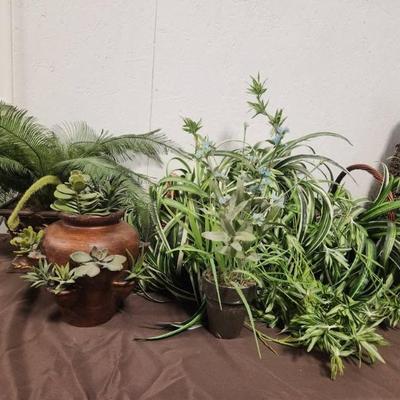 Sale Photo Thumbnail #204