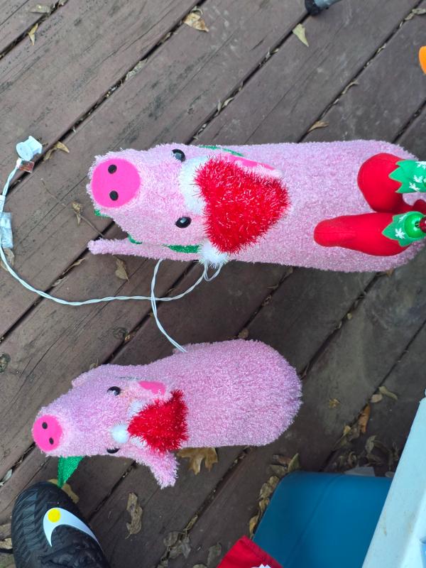 Sale Photo Thumbnail #5