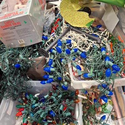 Sale Photo Thumbnail #63