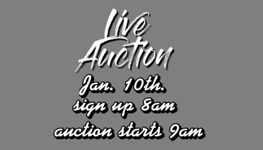 Sale Photo Thumbnail #52