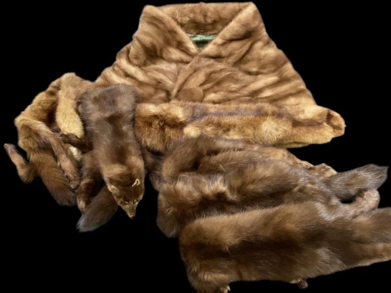 Sale Photo Thumbnail #450