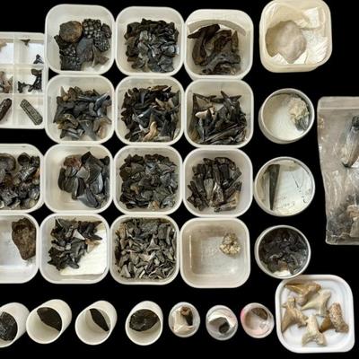 Sale Photo Thumbnail #72