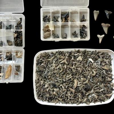 Sale Photo Thumbnail #71