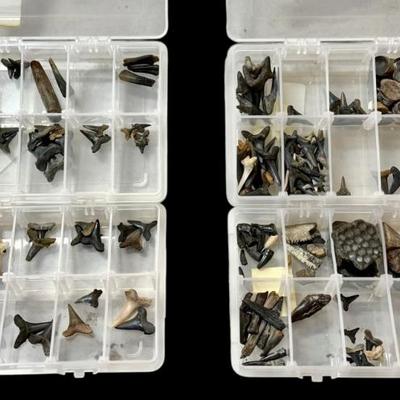 Sale Photo Thumbnail #70