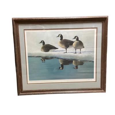 Sale Photo Thumbnail #200