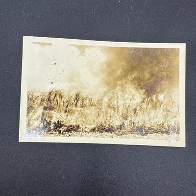 Sale Photo Thumbnail #110