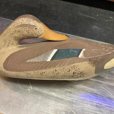 Duck Decoy