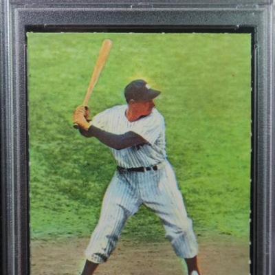 Sale Photo Thumbnail #446