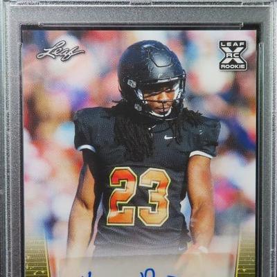 Sale Photo Thumbnail #487