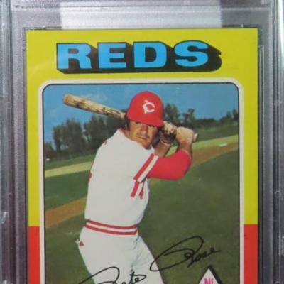 Sale Photo Thumbnail #462