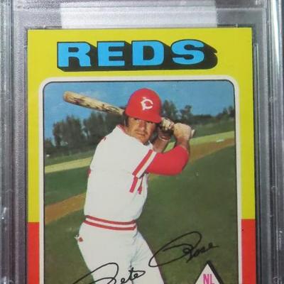 Sale Photo Thumbnail #463