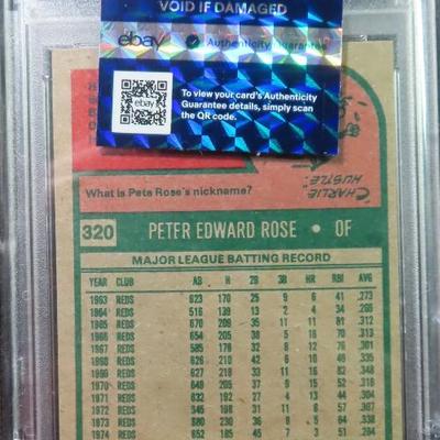 Sale Photo Thumbnail #464