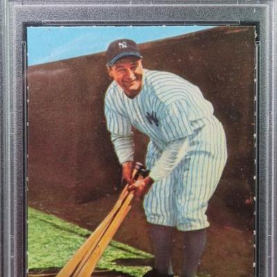 Sale Photo Thumbnail #460