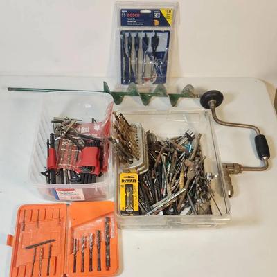 Drill Bit, Driver, and Allen Wrench Lot