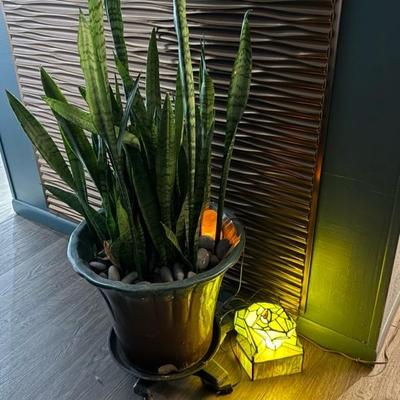 Sale Photo Thumbnail #6