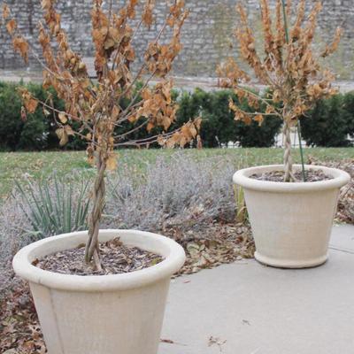 Sale Photo Thumbnail #192