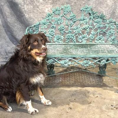 Sale Photo Thumbnail #20