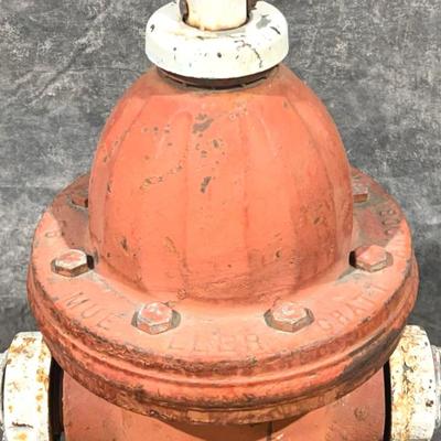 Sale Photo Thumbnail #168