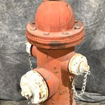 Sale Photo Thumbnail #171