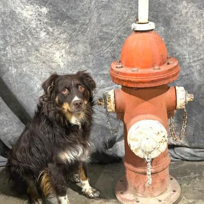 Sale Photo Thumbnail #177