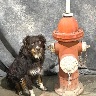 Sale Photo Thumbnail #176